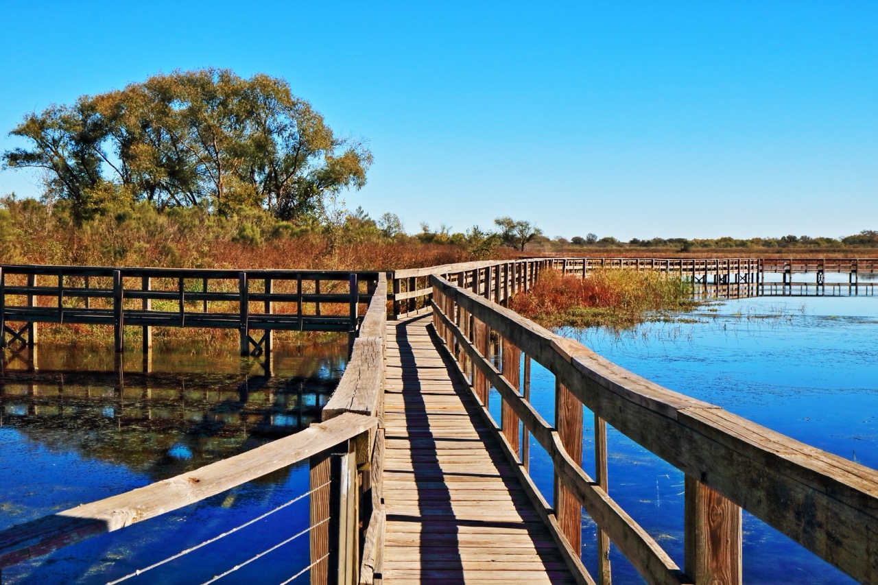 Texas wetlands